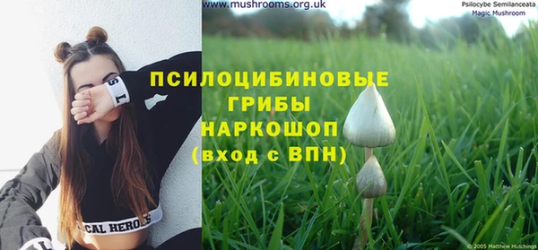 мескалин Коряжма