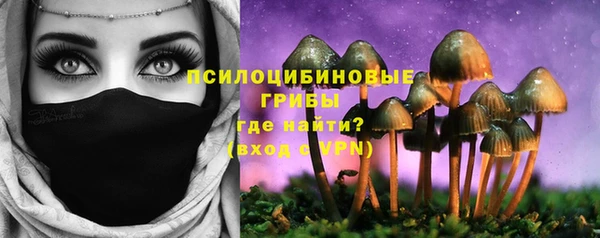 мескалин Коряжма