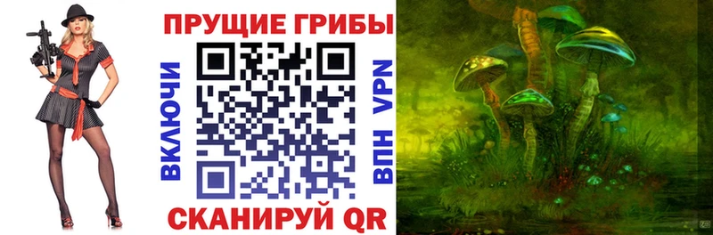 Псилоцибиновые грибы ЛСД  Купить закладки  Смоленск 
