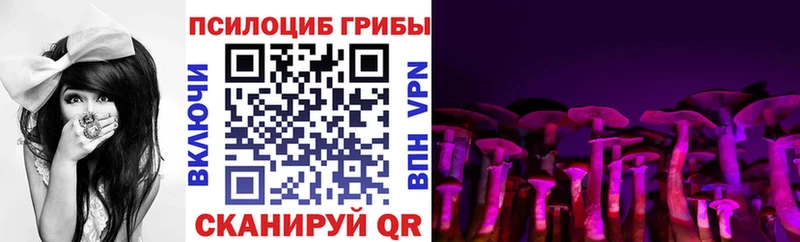 Псилоцибиновые грибы Cubensis Смоленск